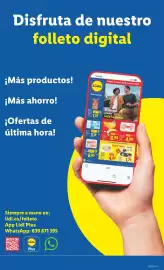 Catálogo Lidl semana 21 Página 15