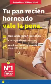 Catálogo Lidl semana 21 Página 16