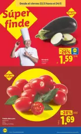 Catálogo Lidl semana 21 Página 24