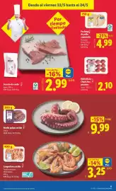 Catálogo Lidl semana 21 Página 25