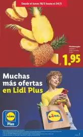 Catálogo Lidl semana 21 Página 3