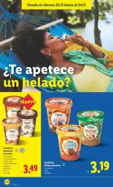 Catálogo Lidl semana 21 Página 36