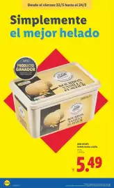 Catálogo Lidl semana 21 Página 38