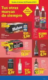 Catálogo Lidl semana 21 Página 45