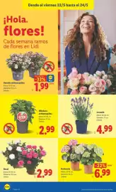 Catálogo Lidl semana 21 Página 48