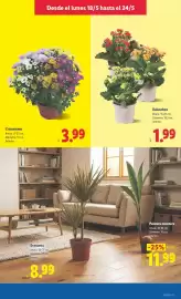 Catálogo Lidl semana 21 Página 49