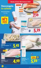 Catálogo Lidl semana 21 Página 8