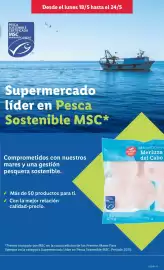 Catálogo Lidl semana 21 Página 9