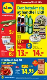 Lidl tilbudsavis uge 21 Side 1