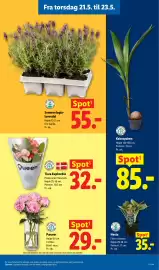 Lidl tilbudsavis uge 21 Side 32