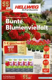 Hellweg Prospekt woche 20 Seite 1
