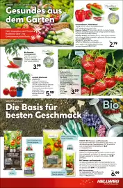 Hellweg Prospekt woche 20 Seite 17