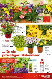 Hellweg Prospekt woche 20 Seite 19