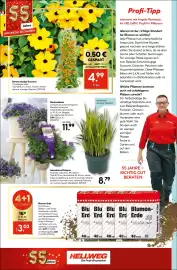 Hellweg Prospekt woche 20 Seite 20