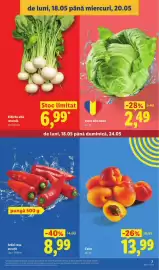 Catalog Lidl săptămâna 21 Pagină 7