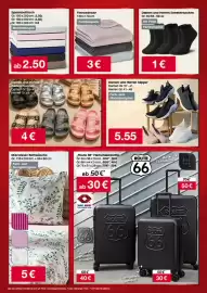 Woolworth Prospekt Seite 6