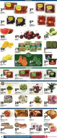 Big Y flyer week 20 Page 11