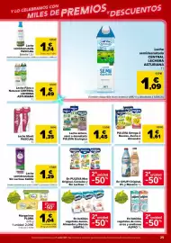 Folleto Carrefour Página 25