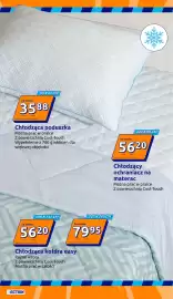 Action gazetka tydzień 20 Strona 10