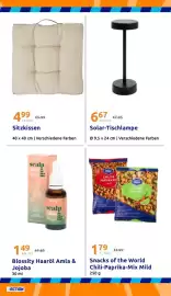 Action Flugblatt woche 20 Seite 28