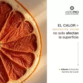 Catálogo AspidPro semana 20 Página 2