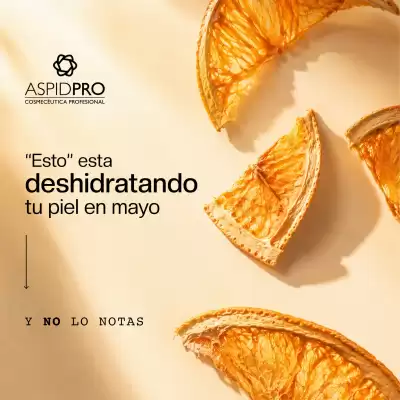 AspidPro (válido hasta 18-05)