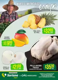 Folleto Soriana Mercado Página 1