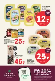 SPAR tilbudsavis uge 20 Side 13