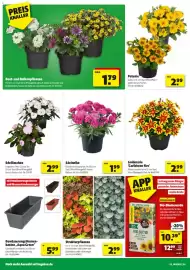 Hagebau Prospekt woche 20 Seite 2