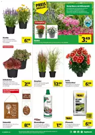Hagebau Prospekt woche 20 Seite 3