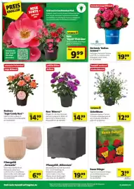 Hagebau Prospekt woche 20 Seite 4