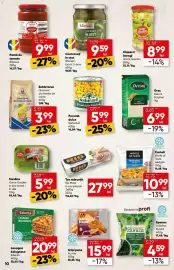 Catalog PROFI Pagină 10