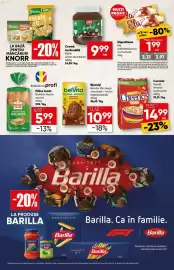 Catalog PROFI Pagină 11
