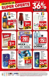 Catalog PROFI Pagină 16