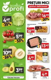 Catalog PROFI Pagină 6