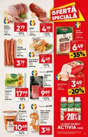 Catalog PROFI Pagină 7
