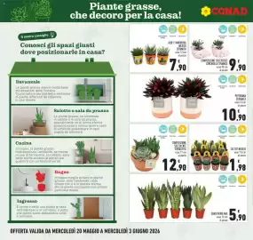 Volantino Conad Pagina 22