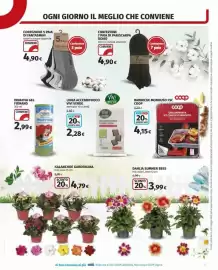 Volantino Coop Superstore Pagina 29