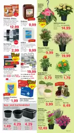 Wiglo Wunderland Prospekt woche 21 Seite 5