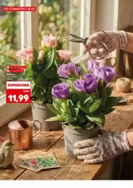 Kaufland gazetka tydzień 20 Strona 10
