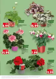 Kaufland gazetka tydzień 20 Strona 11