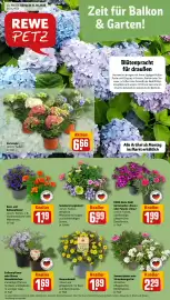 REWE PETZ Prospekt woche 20 Seite 1