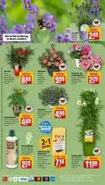 REWE PETZ Prospekt woche 20 Seite 2