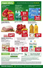 Stokrotka gazetka tydzień 20 Strona 42