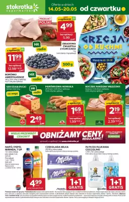 Stokrotka gazetka