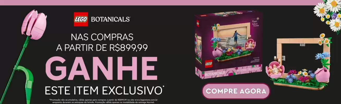 LEGO (válido até 1-06)