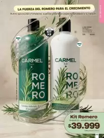 Catálogo Carmel Página 173