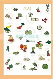 Catalogue Satoriz page 26