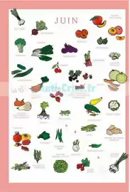 Catalogue Satoriz page 27