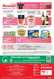 Folleto Alcampo Página 36